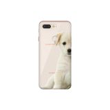 Senada General Mobile Gm 9 Pro İle Uyumlu Kılıf 0.4Mm Lazer Kesim Silikon Kapak Mini Golden
