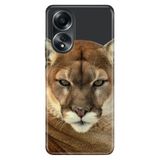 Senada Oppo A58 Silikon İle Uyumlu Kılıf Dekoratif Silikon Baskılı Kapak Asil Aslan Kaplan