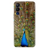 Senada Tecno Pova Neo 4 İle Uyumlu Kılıf Silikon Desenli Tam Koruma Resimli Kapak Tavuz Kuşu