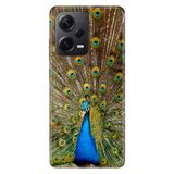 Senada Xiaomi Redmi Note 12 Pro 5G İle Uyumlu Kılıf Silikon Desenli Resimli Kapak Tavuz Kuşu