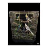 Sencer PRİNÇ PAPAĞAN KAFESİ 61X33X42 CM ÜÇ KAPILI ÜÇ YEMLİKLİ