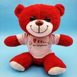 Seni Seviyorum Tasarımlı Peluş Oyuncak Ayı (Kırmızı) - 25 cm