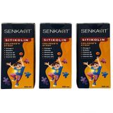 Senkavit Kids Sitikolin Omega 3 Vitamin B 3x100 ml Şurup