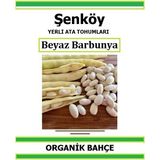 Şenköy Beyaz Barbunya Fasulye Tohumu Yerli Ata Barbunya Tohumu Pakette 20 Tohum+ Sebze Tohumu - 17 Adet