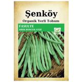 Şenköy Sırık Boncuk Ayşe Fasulye Tohumu Doğal Ata Kılçıksız Sırık Fasulye Tohum Pakette 25 gr