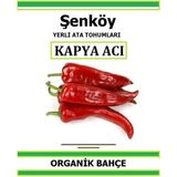 Şenköy Yerli Acı Kapya Biber Tohumu Doğal Ata Tohum Pakette 20 Tohum + Sebze Tohumu - 64 Adet