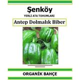 Şenköy Yerli Antep Acı Dolmalık Biber Tohumu Doğal Ata Tohum Pakette 20 Tohum + Sebze Tohumu - 12 Adet