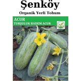 Şenköy Yerli Badem Acur Salatalık Tohumu Doğal Ata Köy Turşuluk Hıyar Tohumu Pakette 10 gr 350 Tohum - 1 Adet