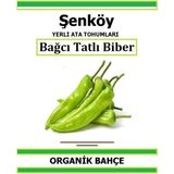 Şenköy Yerli Bağcı Tatlı Köy Biber Tohumu Doğal Ata Tohum Pakette 20 Tohum + Sebze Tohumu - 11 Adet