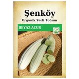 Şenköy Yerli Beyaz Acur Salatalık Tohumu Doğal Ata Köy Turşuluk Hıyar Tohumu Pakette 10 Gr 350 Tohum