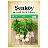 Şenköy Yerli Beyaz Turp Tohumu Doğal Ata Tohum Pakette 10 Gr 1000 Tohum + Sebze Tohumu Hediye