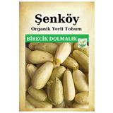 Şenköy Yerli Birecik Dolmalık Kabak Tohumu Doğal Ata Tohum Pakette 10 Gr 70 Tohum + Sebze Tohumu