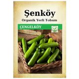 Şenköy Yerli Çengelköy Salatalık Tohumu Doğal Ata Tohum 1 Pakette 100 Tohum + Hediye Sebze Tohumu