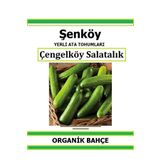 Şenköy Yerli Çengelköy Salatalık Tohumu Doğal Ata Tohum Pakette 20 Tohum + Hediye Sebze Tohumu