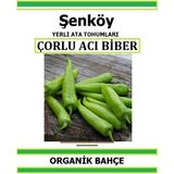 Şenköy Yerli Çorlu Acı Çarliston Biber Tohumu Doğal Ata Tohum Pakette 20 Tohum + Sebze Tohumu - 10 Adet