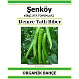 Şenköy Yerli Demre Sivri Biber Tohumu Doğal Ata Tohum Pakette 20 Tohum + Sebze Tohumu - 68 Adet
