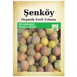 Şenköy Yerli Diyarbakır Hesso Çerko Kavun Tohumu Doğal Ata Tohum Pakette 5 Gr 150 Tohum + Hediye Tohum