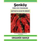 Şenköy Yerli Etli Acı Kapya Biber Tohumu Doğal Ata Tohum Pakette 20 Tohum + Sebze Tohumu - 4 Adet