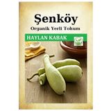 Şenköy Yerli Haylan Kabak Tohumu Doğal Ata Tohum Pakette 10 Gr 35 Tohum + Hediye Sebze Tohumu