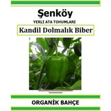 Şenköy Yerli Kandil Dolmalık Biber Tohumu Doğal Ata Tohum Pakette 20 Tohum + Sebze Tohumu - 65 Adet