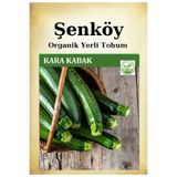 Şenköy Yerli Kara Kabak Tohumu Doğal Kara Kabak Ata Tohumu Pakette 10 gr 60 Tohum