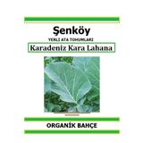 Şenköy Yerli Karalahana Tohumu Doğal Ata Kara Lahana Tohum Pakette 5 gr 1500 Tohum Hediye Sebze Tohumu