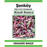 Şenköy Yerli Kınalı Köy Bamya Tohumu Doğal Ata Bamya Tohumu Pakette 5 Gr 70 Tohum + Sebze Tohumu - 1 Paket
