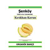 Şenköy Yerli Kırıkhan Ananas Kavun Tohumu Doğal Ata Tohum Pakette 20 Tohum + Hediye Sebze Tohumu