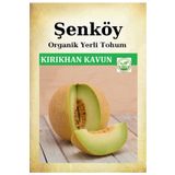Şenköy Yerli Kırıkhan Ananas Kavun Tohumu Doğal Ata Tohum Pakette 5 Gr 150 Tohum +hediye Sebze Tohum