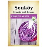Şenköy Yerli Kırmızı Lahana Tohumu Doğal Ata Tohum Pakette 5 gr 1250 Tohum Sebze Tohumu Hediye