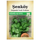 Şenköy Yerli Kişniş Tohumu Doğal Ata Geniş Yaprak Aş Otu Tohum Pakette 25 gr Tohum Hediye Sebze Tohumu
