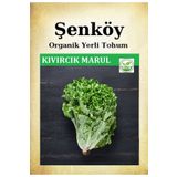 Şenköy Yerli Kıvırcık Marul Tohumu Doğal Ata Organik Marul Tohumu Pakette 10 Gr 8000 Adet
