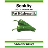 Şenköy Yerli Közlemelik Pat Biber Tohumu Doğal Ata Tohum Pakette 20 Tohum + Sebze Tohumu - 61 Adet