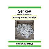 Şenköy Yerli Maraş Kuru Fasulye Tohumu Doğal Ata Tohum Pakette 25 gr 50 Tohum Hediye Sebze Tohumu