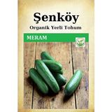 Şenköy Yerli Meram Salatalık Tohumu Doğal Ata Tohum Pakette 5 gr 120 Tohum Hediye Sebze Tohumu - 1 Adet
