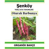 Şenköy Yerli Oturak Barbunya Tohumu Doğal Ata Barbunya Tohumu Pakette 20 Tohum + Sebze Tohumu - 19 Adet