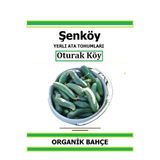 Şenköy Yerli Oturak Köy Salatalık Tohumu Doğal Ata Tohum Pakette 20 Tohum + Hediye Sebze Tohumu