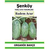 Şenköy Yerli Parmak Badem Acur Tohumu Doğal Ata Turşuluk Badem Acur Tohumu Pakette 20 Tohum - 26 Adet
