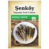 Şenköy Yerli Renkli Mısır Tohumu Doğal Ata Mısır Tohumu Pakette 10 gr 60 Tohum Hediye Sebze Tohumu