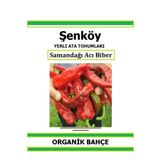 Şenköy Yerli Samandağı Acı Kapya Biber Tohumu Doğal Ata Tohum Pakette 20 Tohum + Hediye Sebze Tohumu