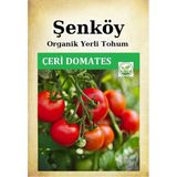 Şenköy Yerli Sırık Salkım Çeri Domates Tohumu Doğal Küçük Domates Tohumu Pakette 100 Adet Tohum - 1 Adet