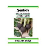 Şenköy Yerli Siyah Turp Tohumu Doğal Ata Tohum Pakette 2 Gr 240 Tohum + Hediye Sebze Tohumu