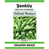 Şenköy Yerli Sultani Bamya Tohumu Doğal Ata Bamya Tohumu Pakette 20 Tohum + Sebze Tohumu - 20 Adet