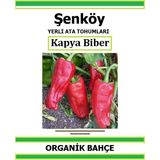 Şenköy Yerli Tatlı Kapya Biber Tohumu Doğal Ata Tohum Pakette 50 Tohum + Sebze Tohumu - 7 Adet
