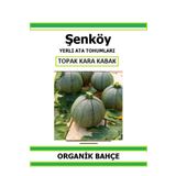 Şenköy Yerli Topak Kara Kabak Tohumu Doğal Ata Tohum Pakette 20 Tohum + Hediye Sebze Tohumu