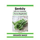 Şenköy Yerli Toros Dağ Kekik Tohumu Doğal Ata Tohum Pakette 50 Tohum + Hediye Sebze Tohumu