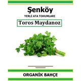 Şenköy Yerli Toros Maydanoz Tohumu Doğal Ata Tohum Pakette 5 gr Tohum + Hediye Sebze Tohumu - 1 Adet