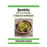 Şenköy Yerli Turşuluk Kornişon Tohumu Doğal Ata Tohum Pakette 20 Tohum + Hediye Sebze Tohumu