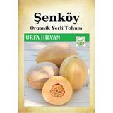Şenköy Yerli Urfa Hilvan Kavun Tohumu Doğal Ata Tohum Pakette 10 Gr 300 Tohum + Sebze Tohumu - 1 Adet