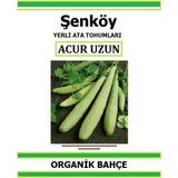 Şenköy Yerli Uzun Acur Tohumu Hıyar Salatalık Acur Ata Tohumu Pakette 20 Tohum + Sebze Tohumu - 27 Adet